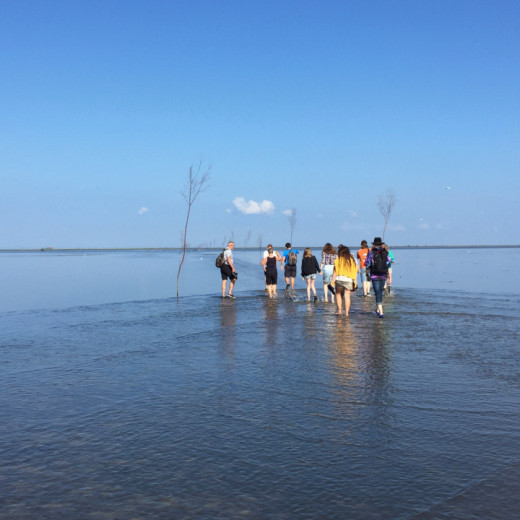 Guided hikes in the Wadden Sea National Park