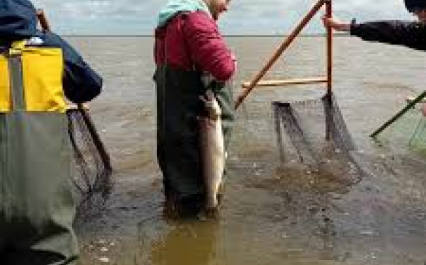 Fisketure - med faghus